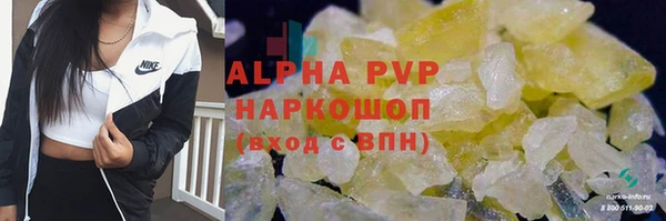 хмурый Богданович