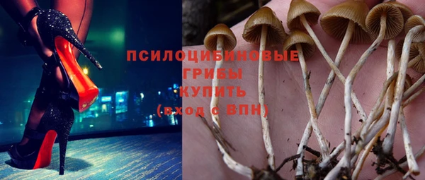 метадон Богородицк